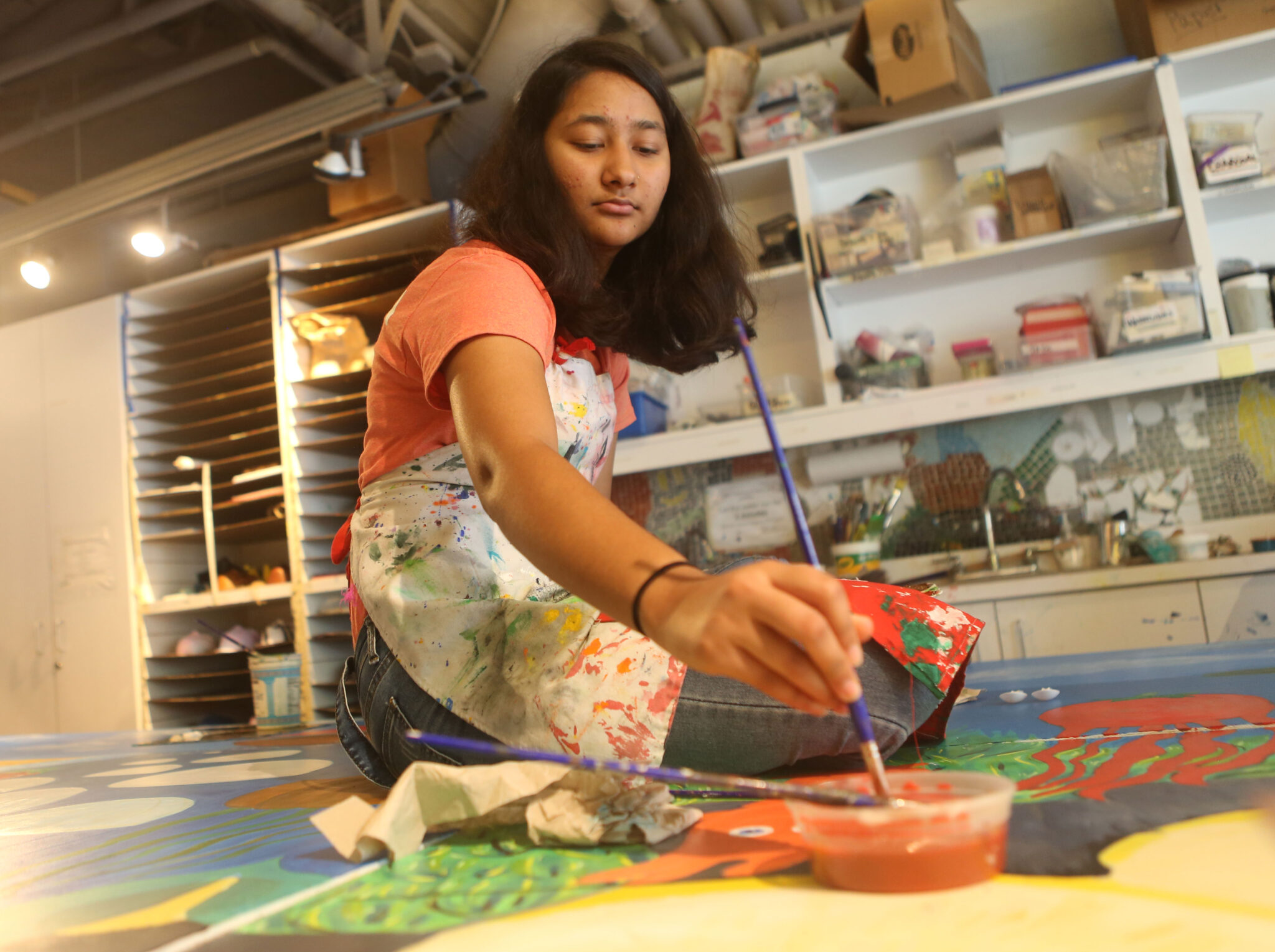 Strategic Plan Series Evolving Our Identity to Support Our Future STARs